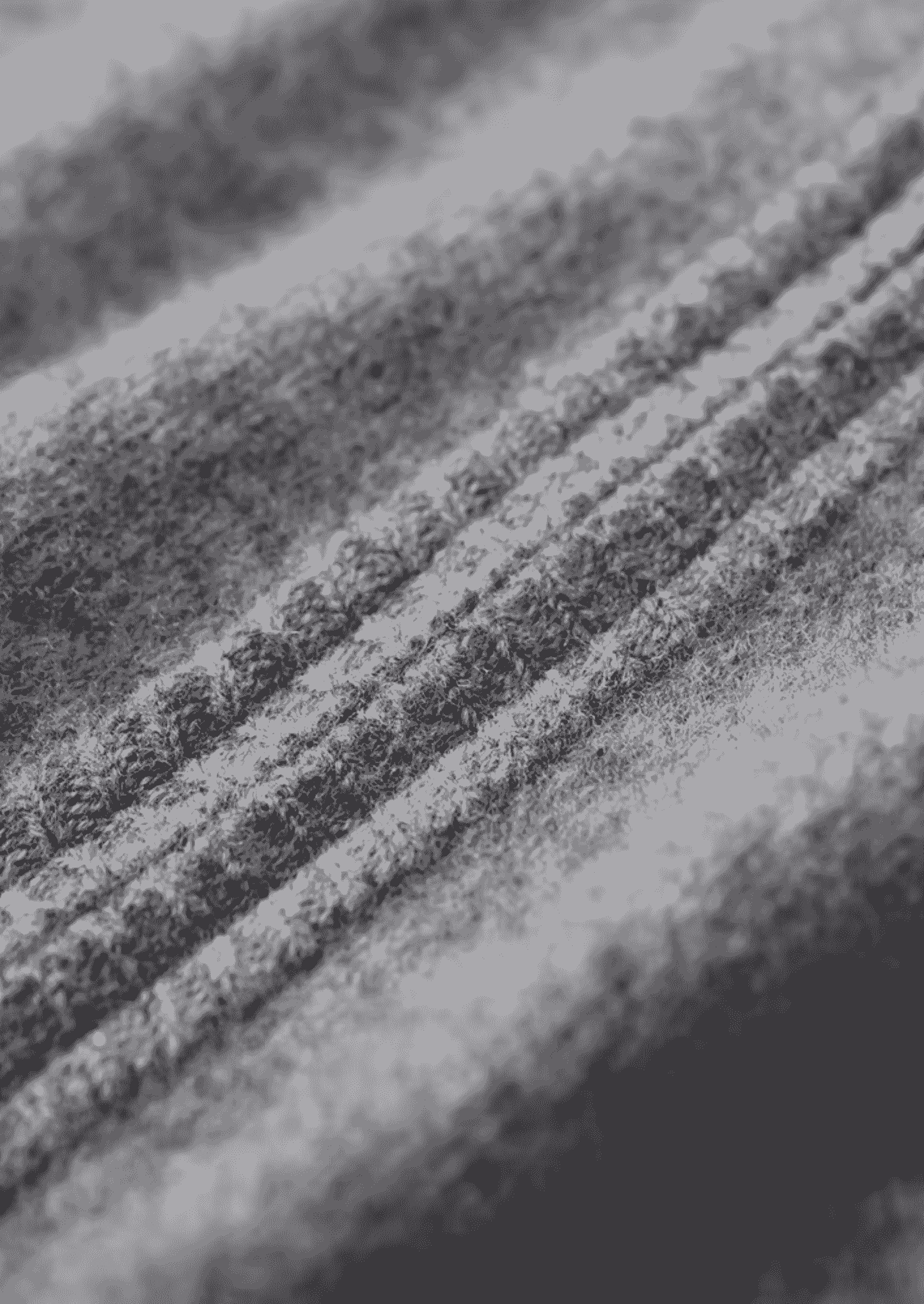 PURE EXTRA-FINE MERINO WOOL TWO TONE SET