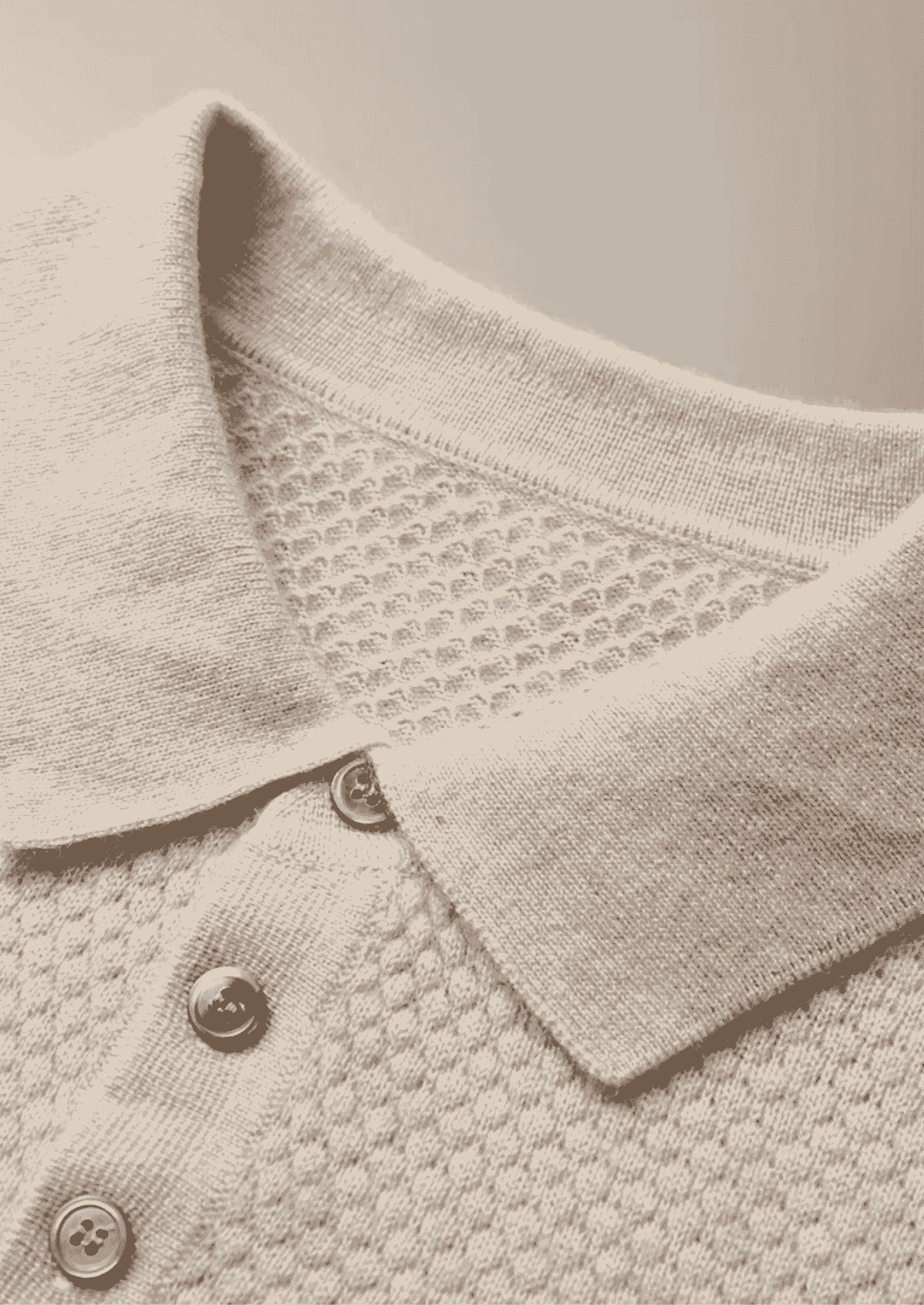 PREMIUM CASHMERE TEXTURED SWEATER POLO