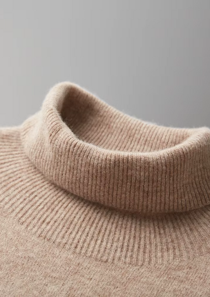 Men's Extra-Fine Merino Wool Classic Rollneck Sweater – ASCENDARY®