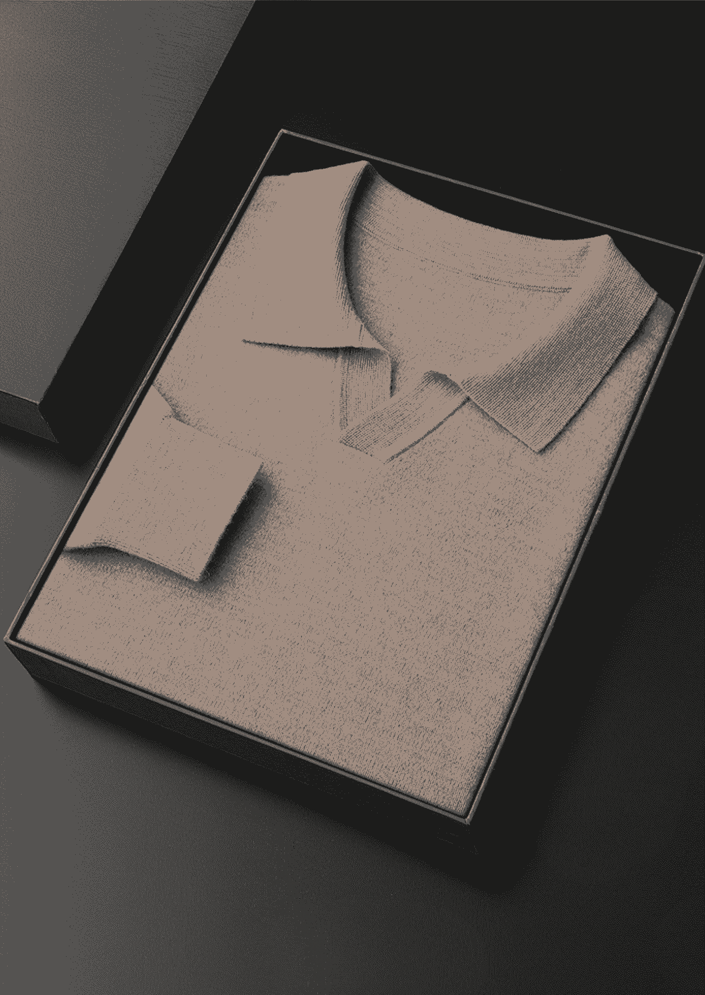 PREMIUM CASHMERE BUTTONLESS SWEATER POLO
