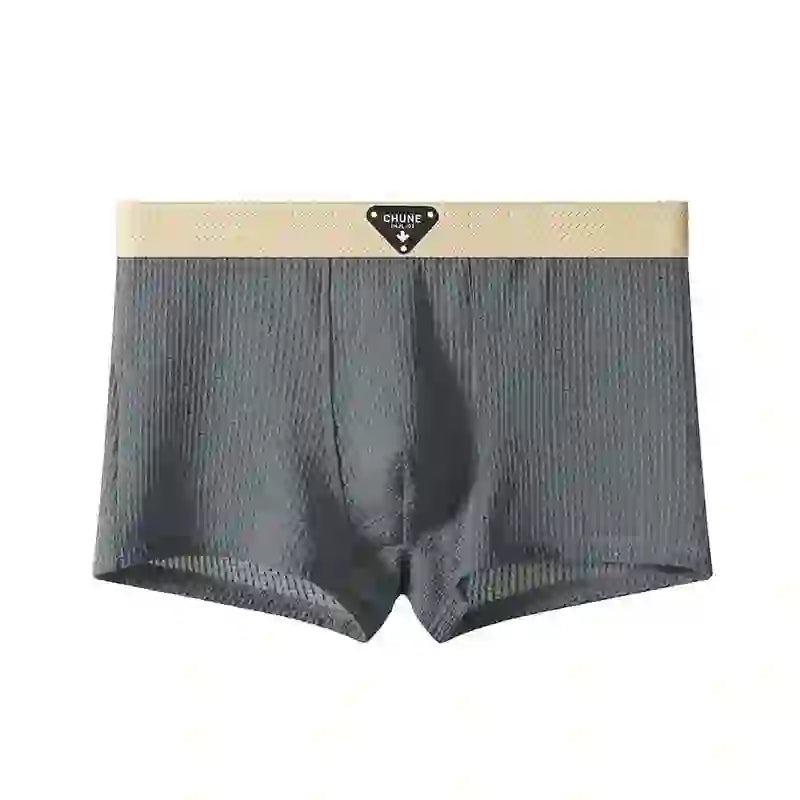 Asencadery  Silk Boxer