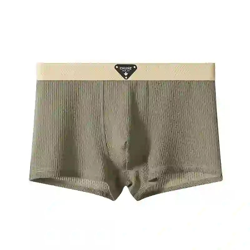 Asencadery  Silk Boxer