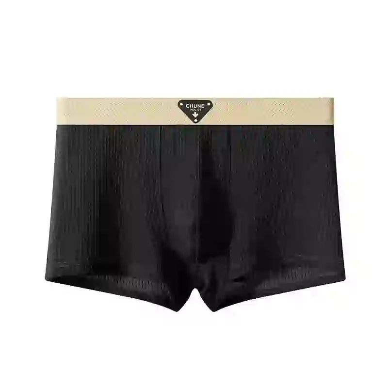 Asencadery  Silk Boxer