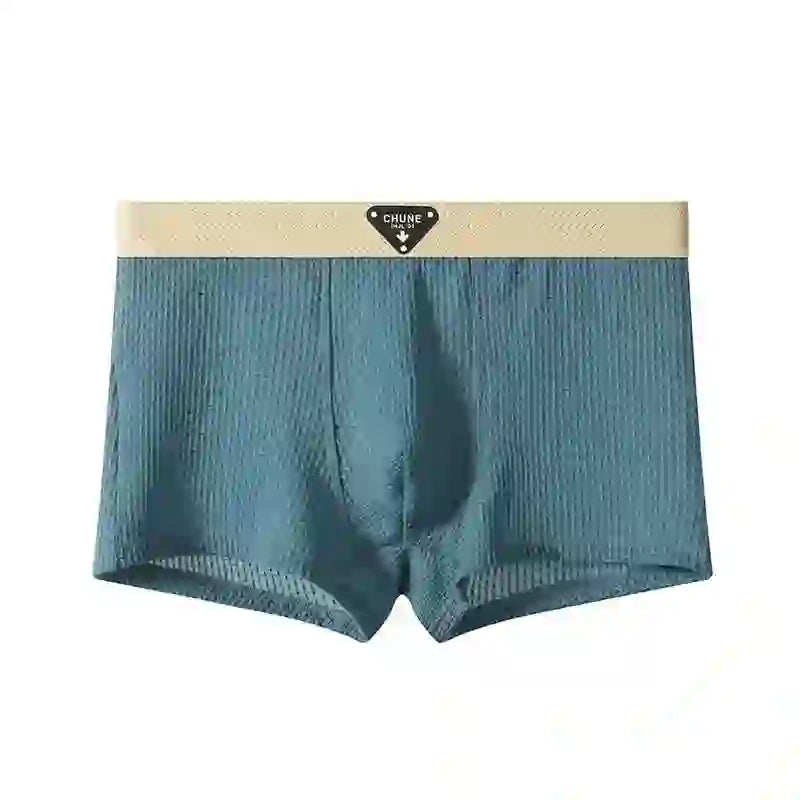 Asencadery  Silk Boxer