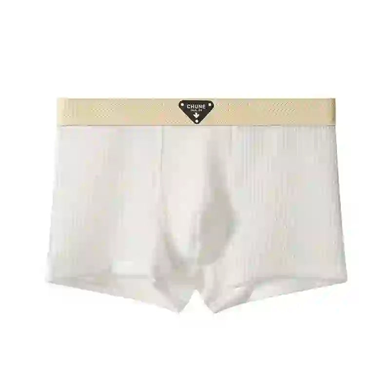 Asencadery  Silk Boxer