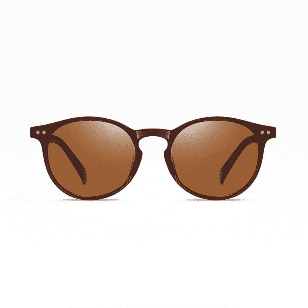 Polarized Glasses – UV400 | Old Money Style | ASCENDARY®