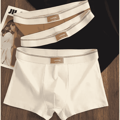 Cotton Theory Boxer