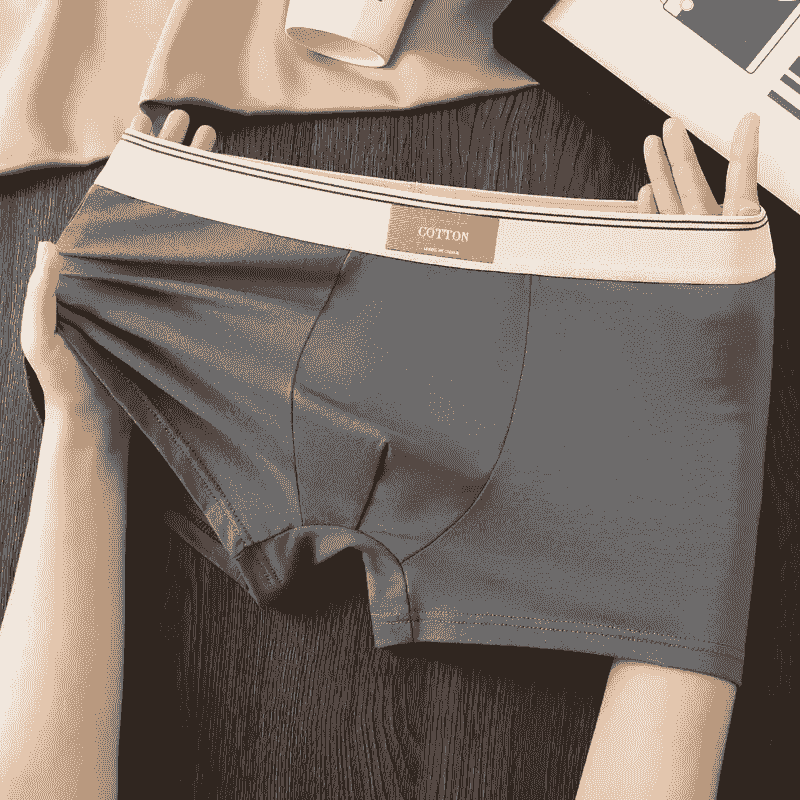 Cotton Theory Boxer