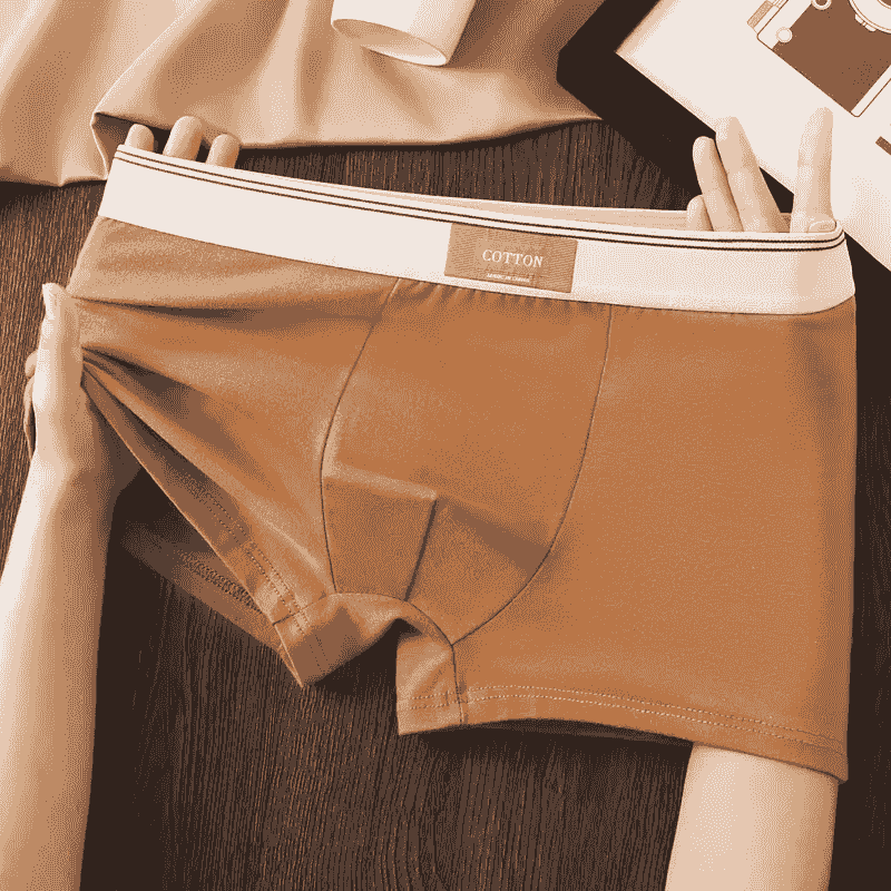Cotton Theory Boxer