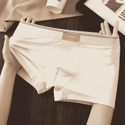 Cotton Theory Boxer